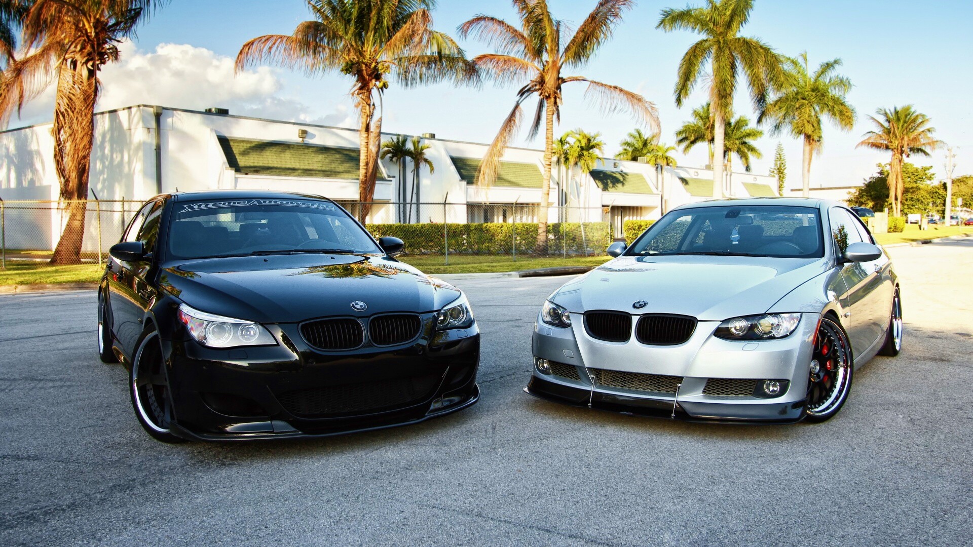 Две БМВ обои
