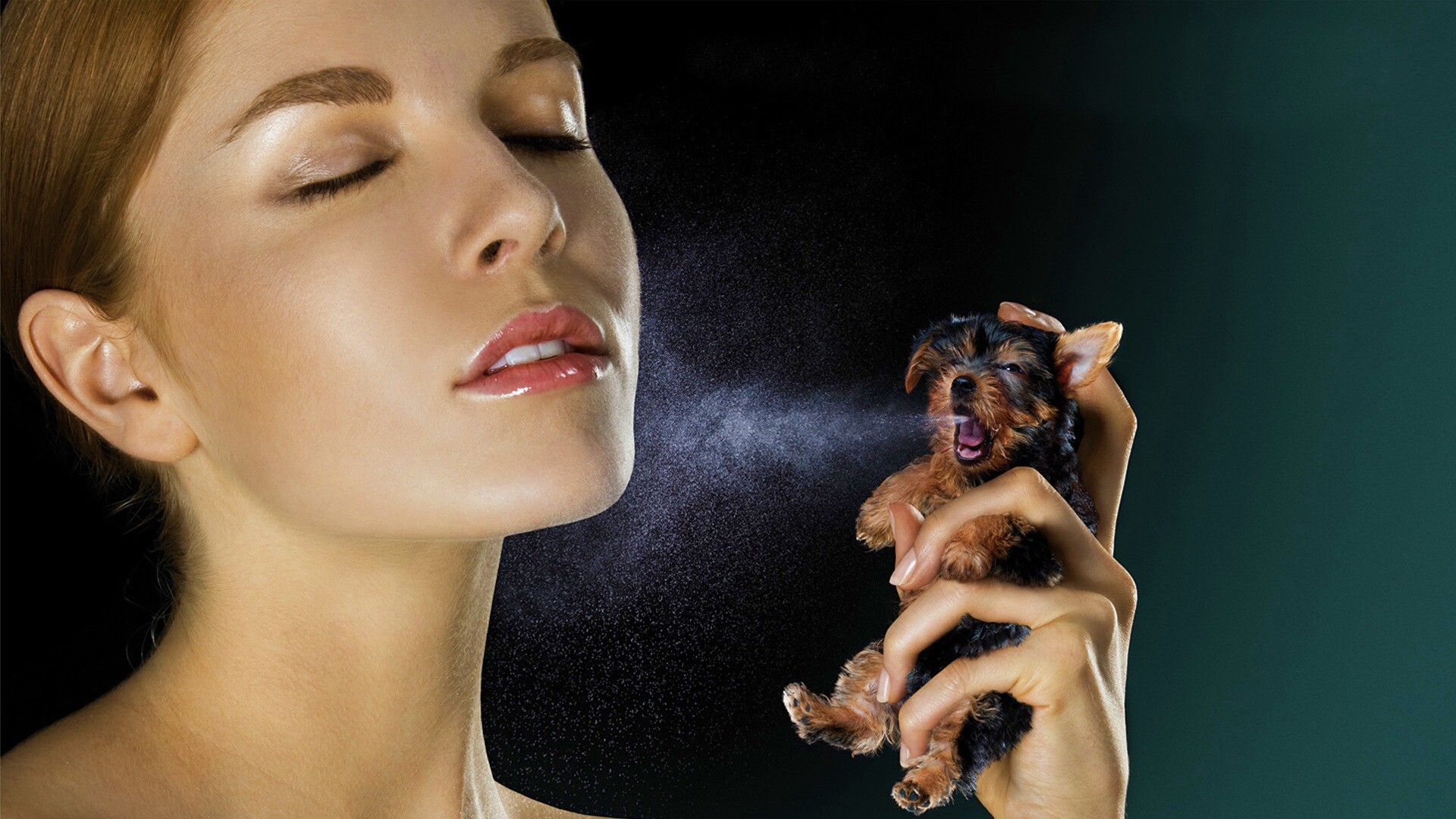 Соблюдайте гигиену обои