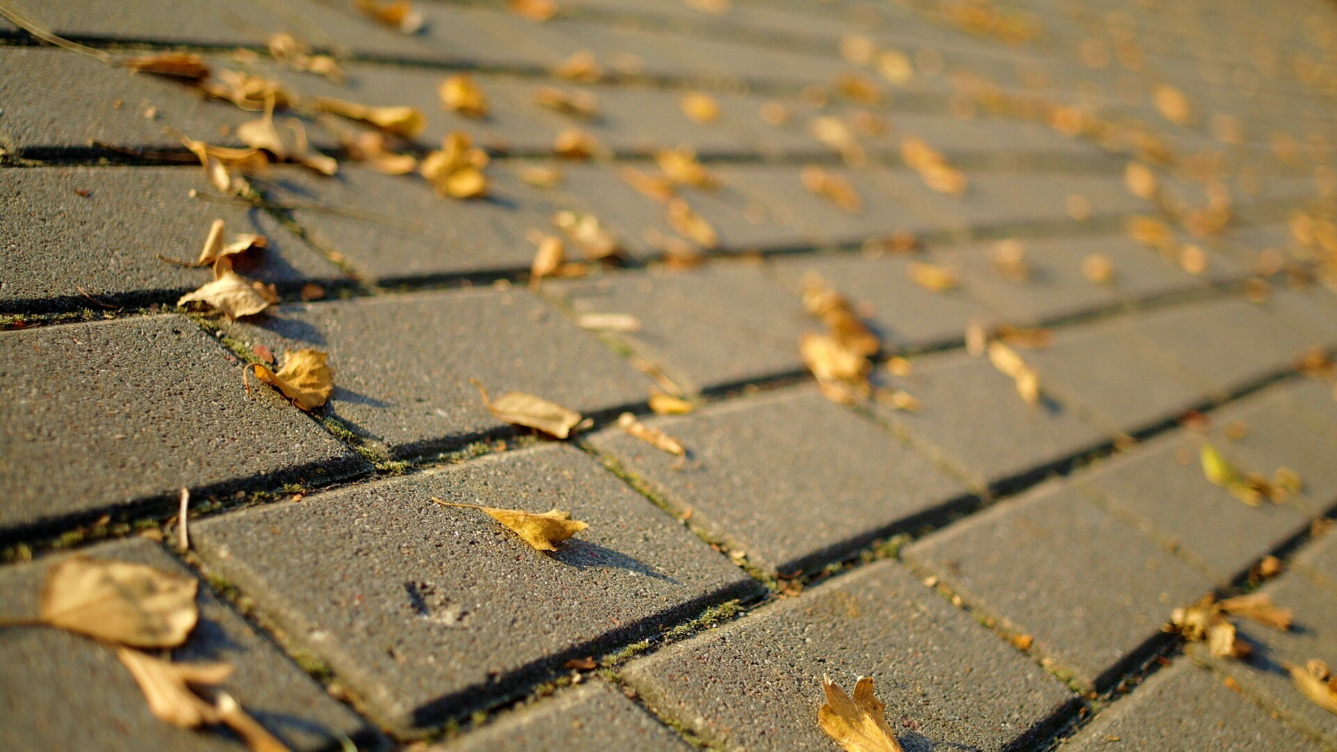 Тротуар обои