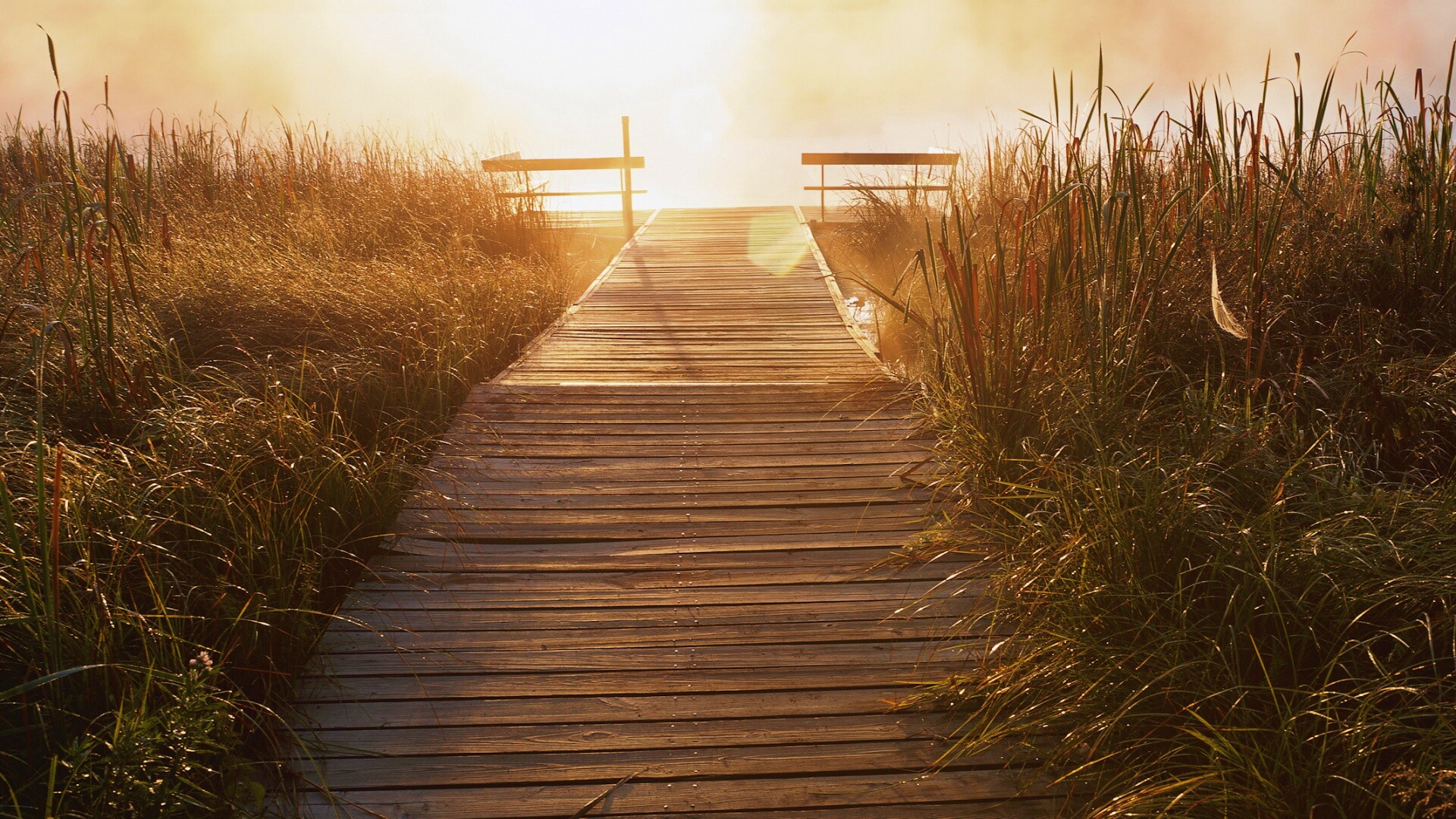 Выход к реке обои