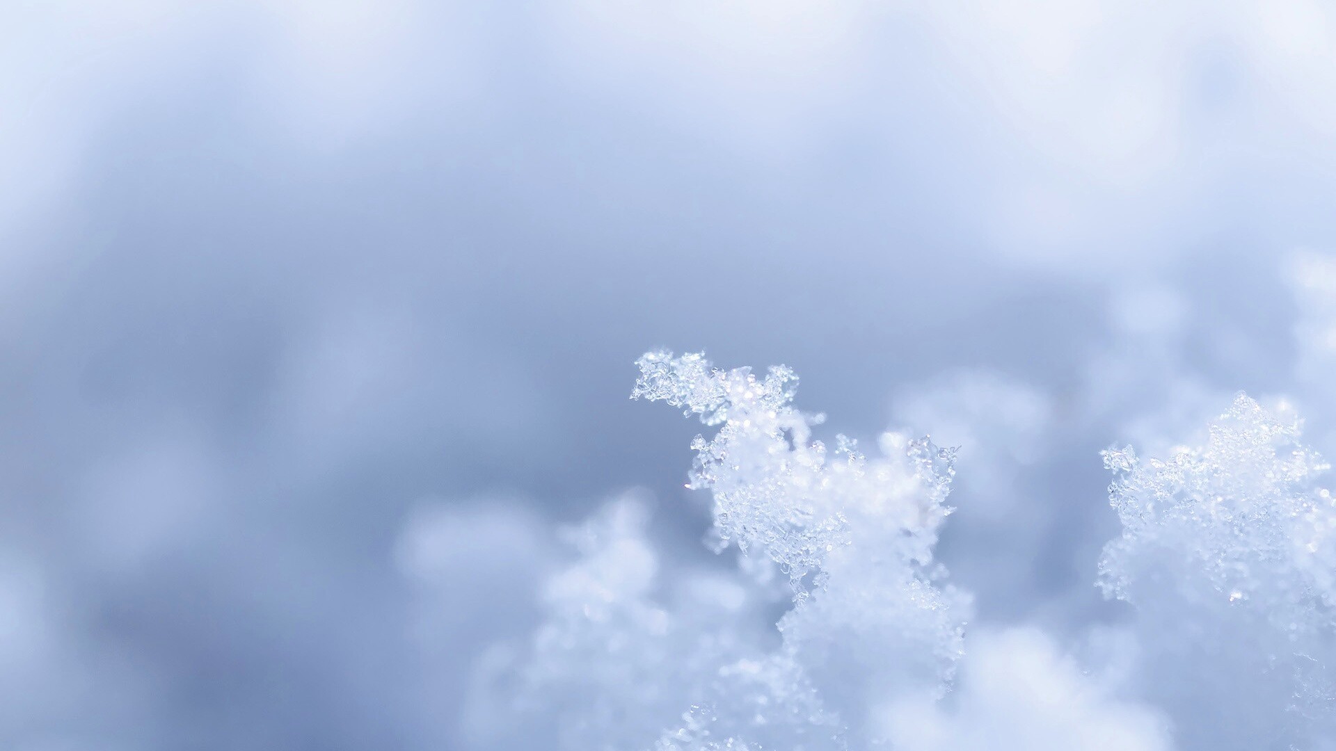 Макро фото снега обои