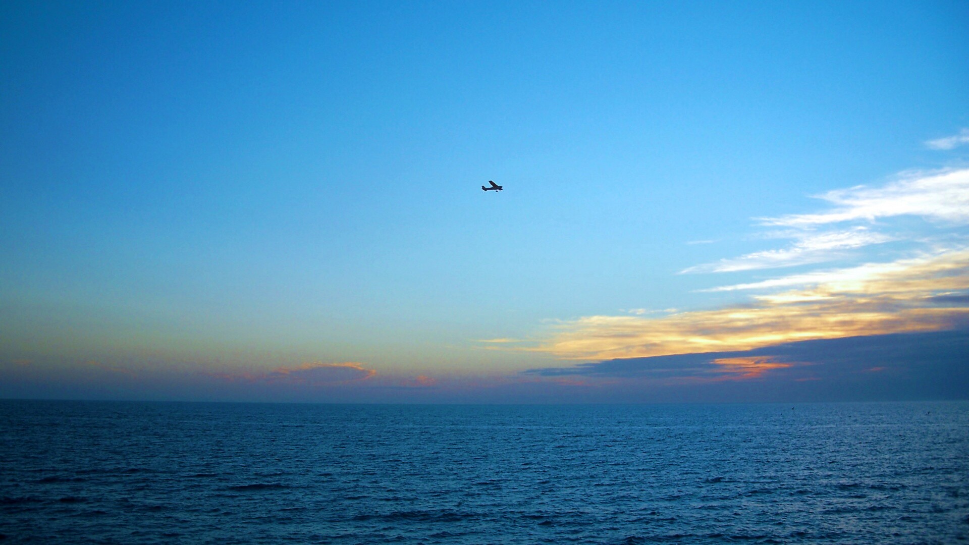 Паращий над морем обои