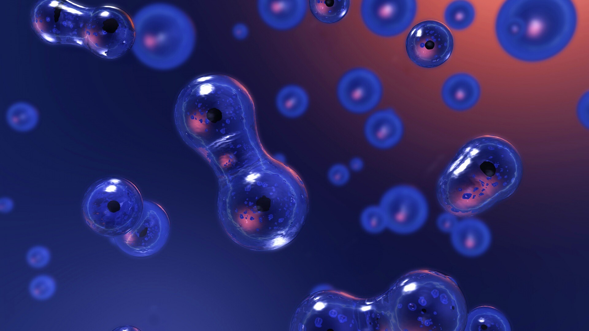 Деление обои