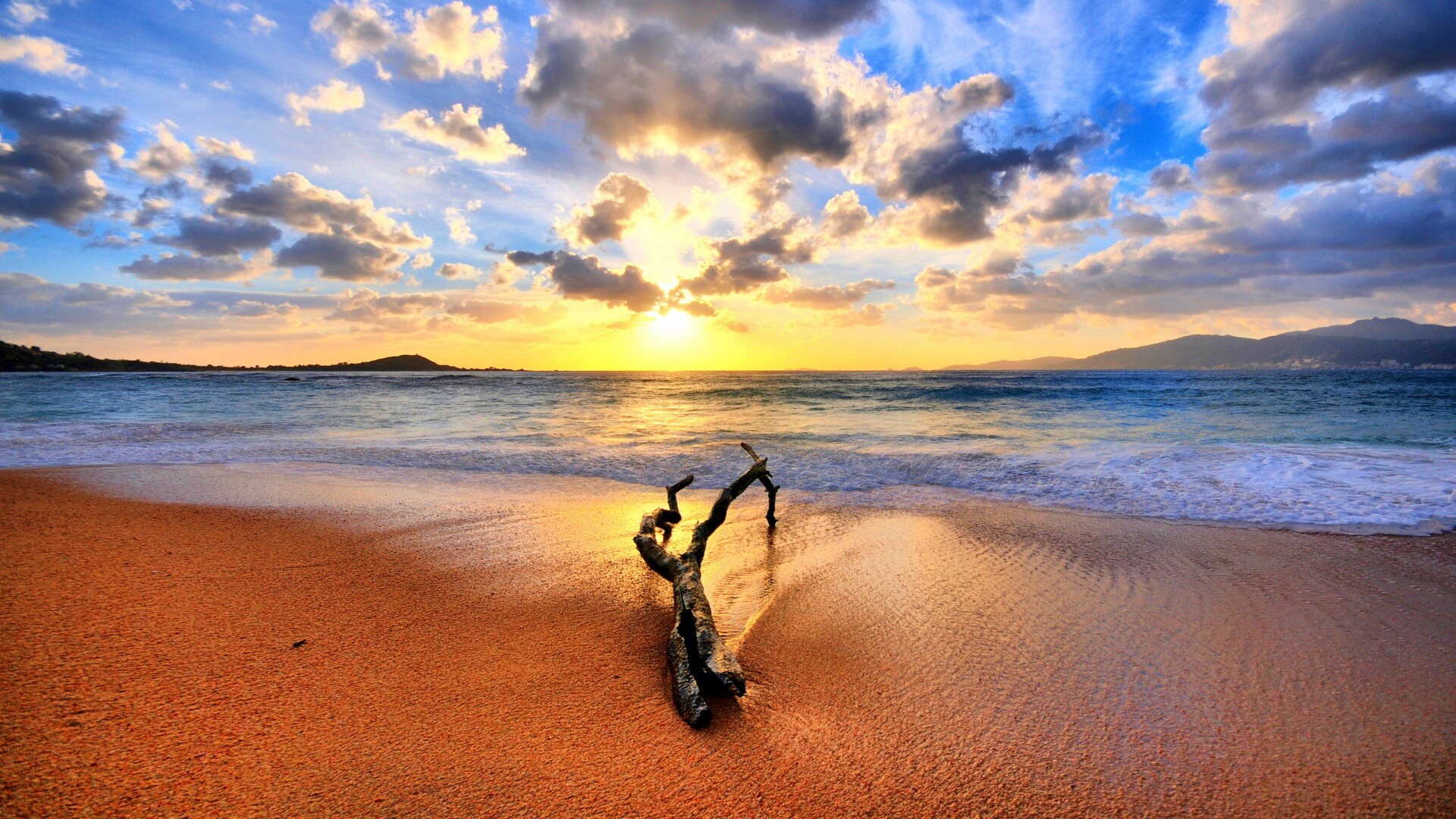 Коряга на пляже обои