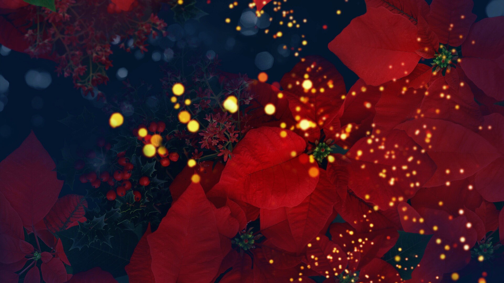 Бархатные лепестки обои