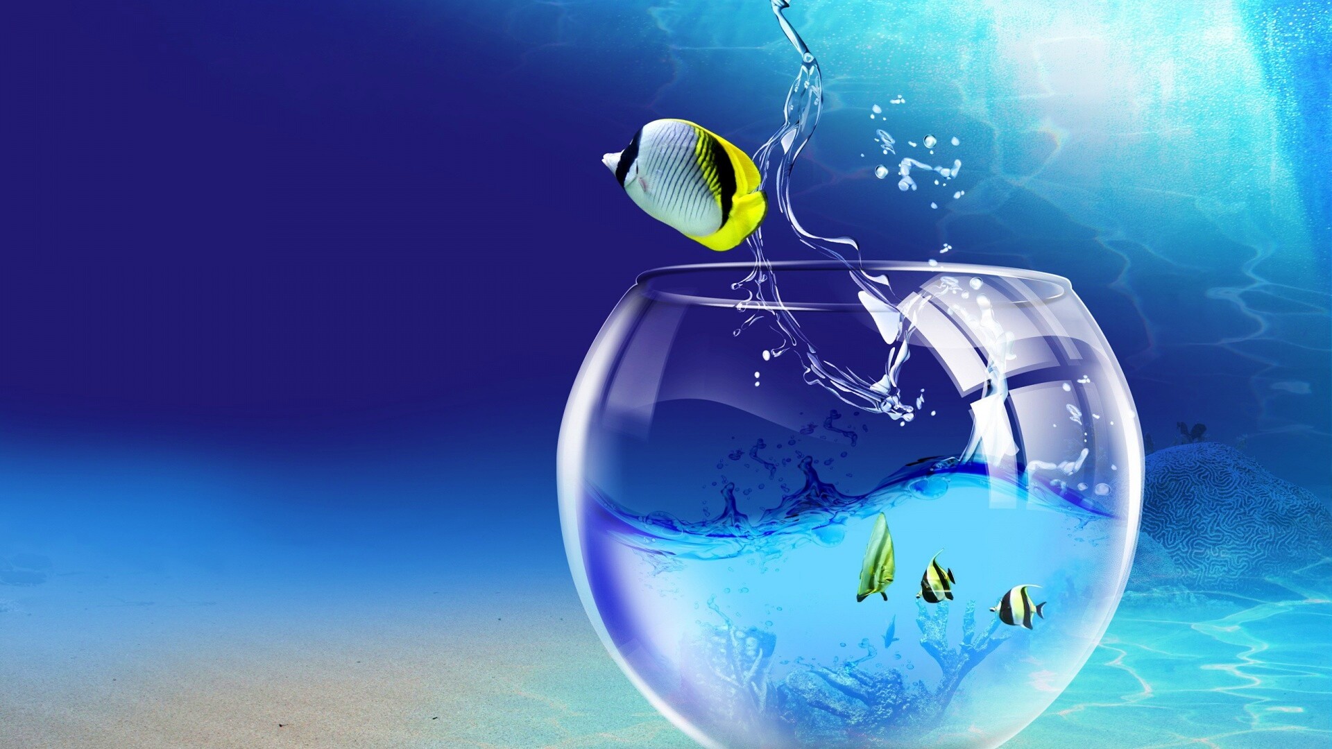 Аквариум с рыбками обои