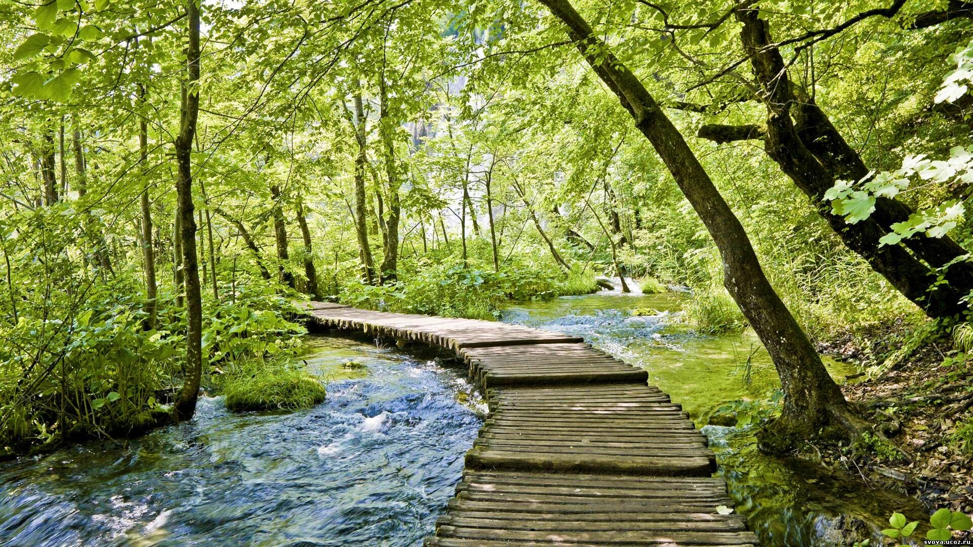 Тропинка над водой обои