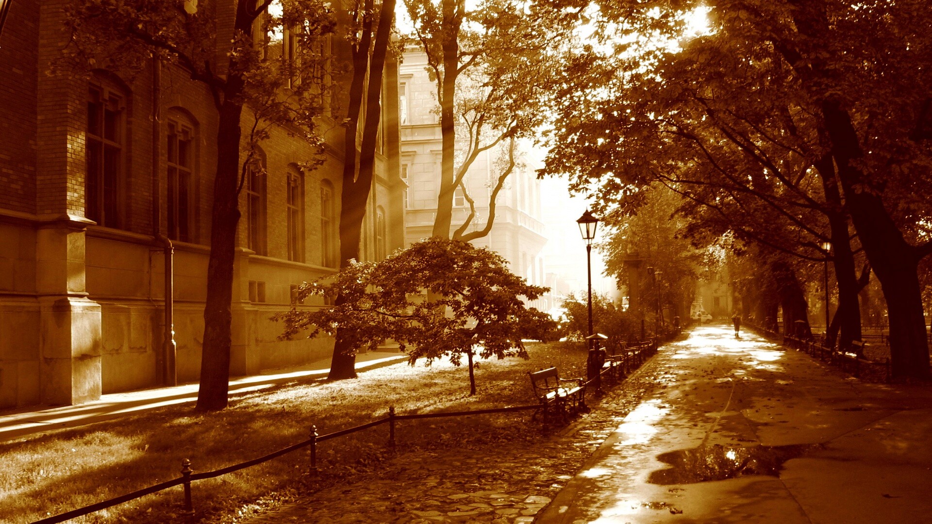 Аллея у здания обои