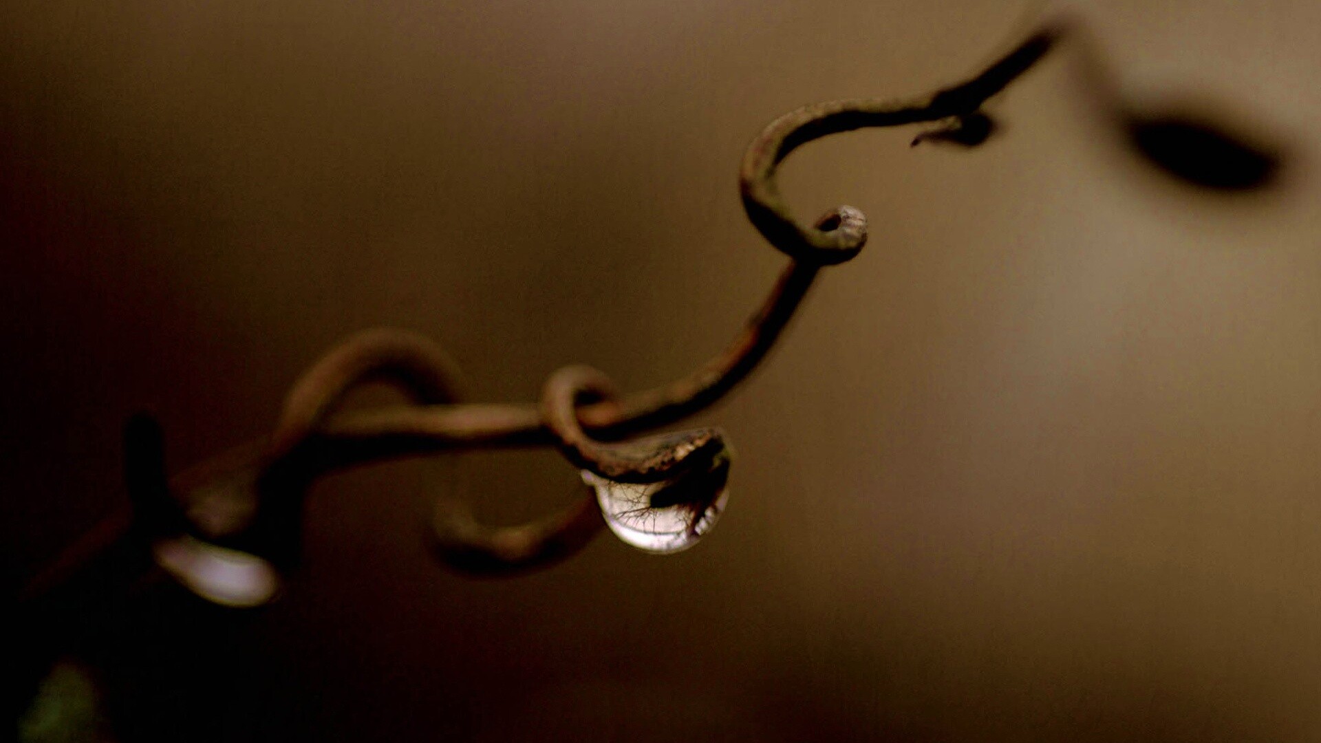 Одинокая капля обои