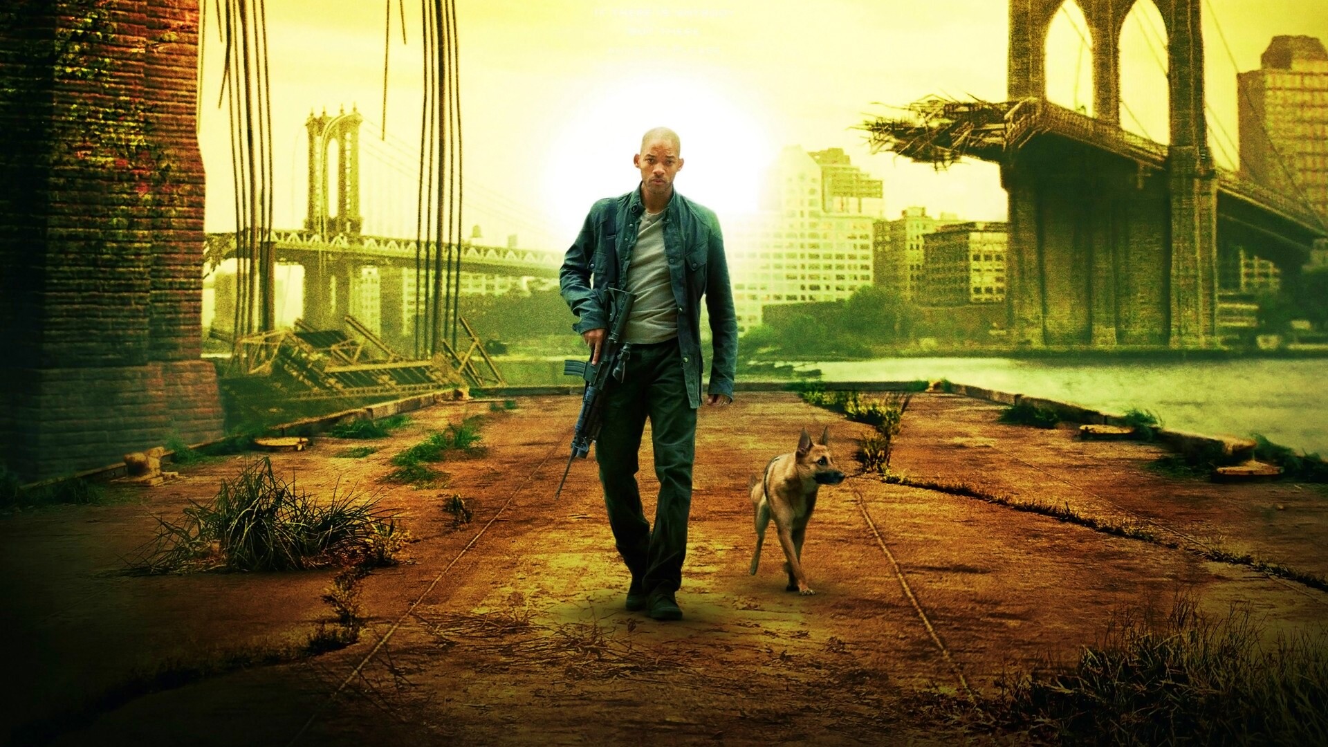 Я - легенда обои