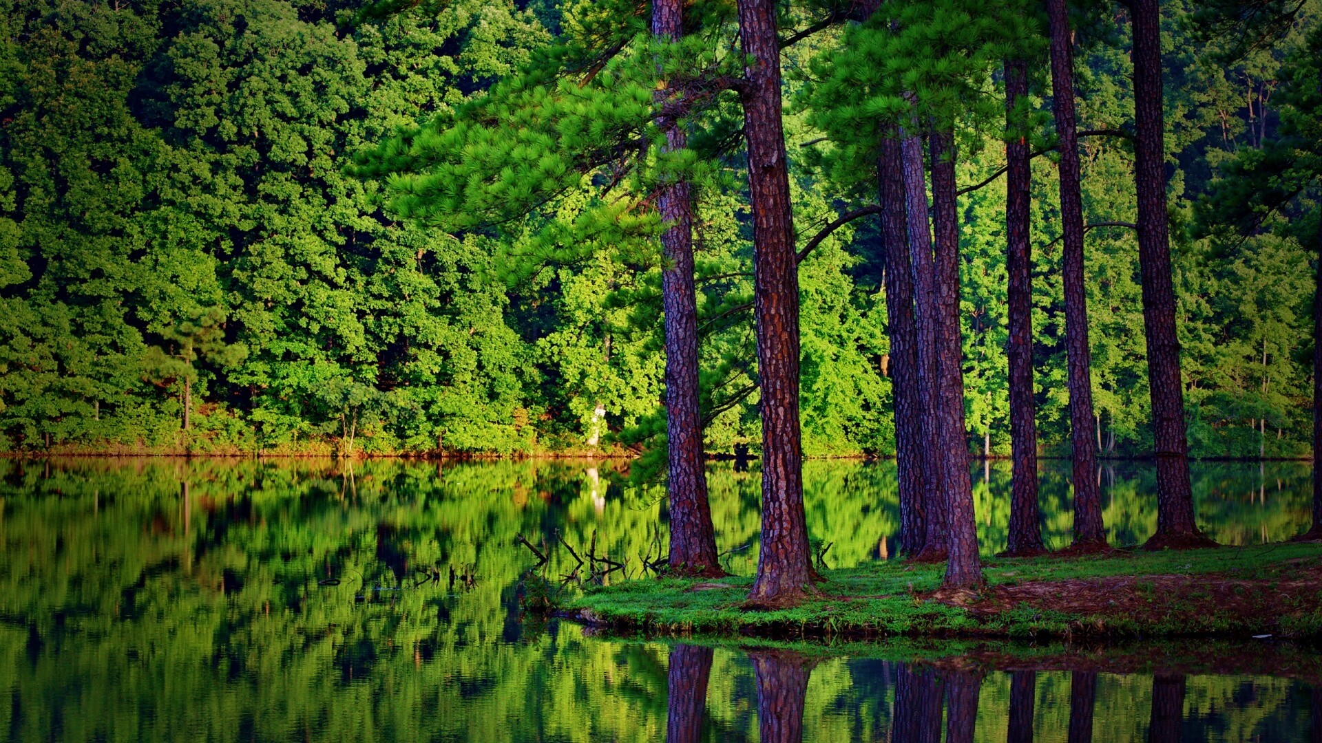 Островок посреди озера обои