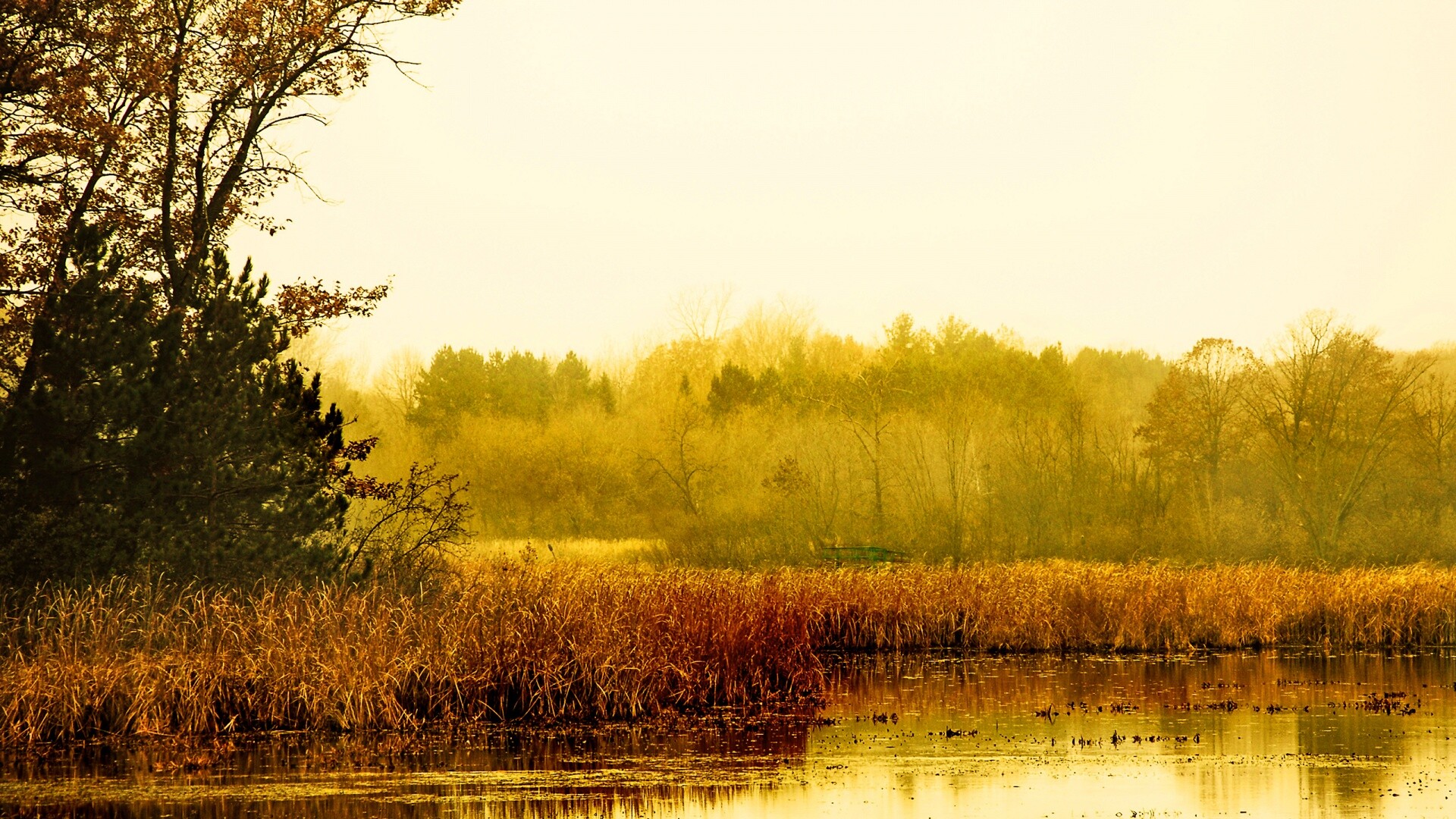 Живописные болота обои