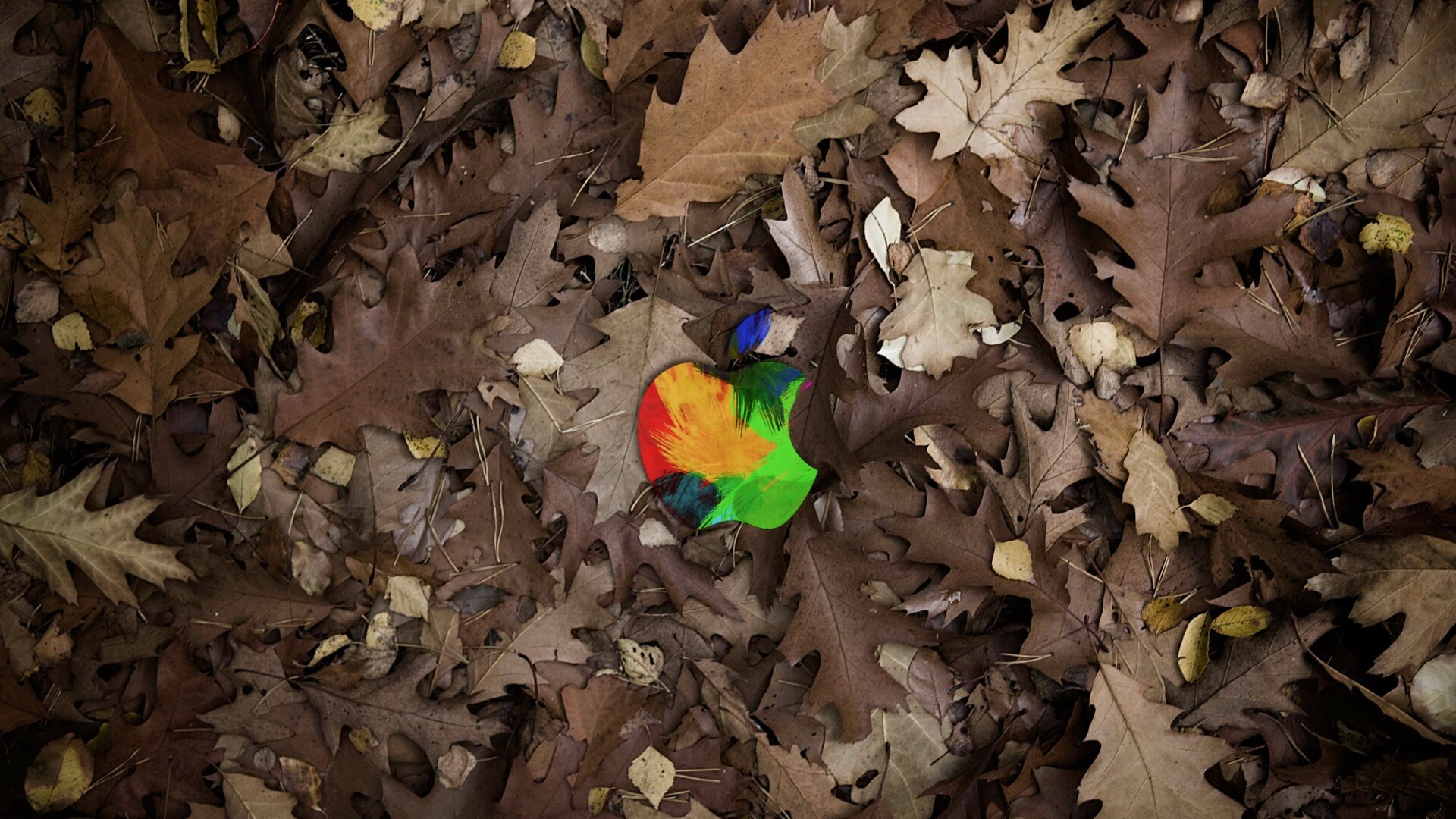 Яблоко в листьях обои