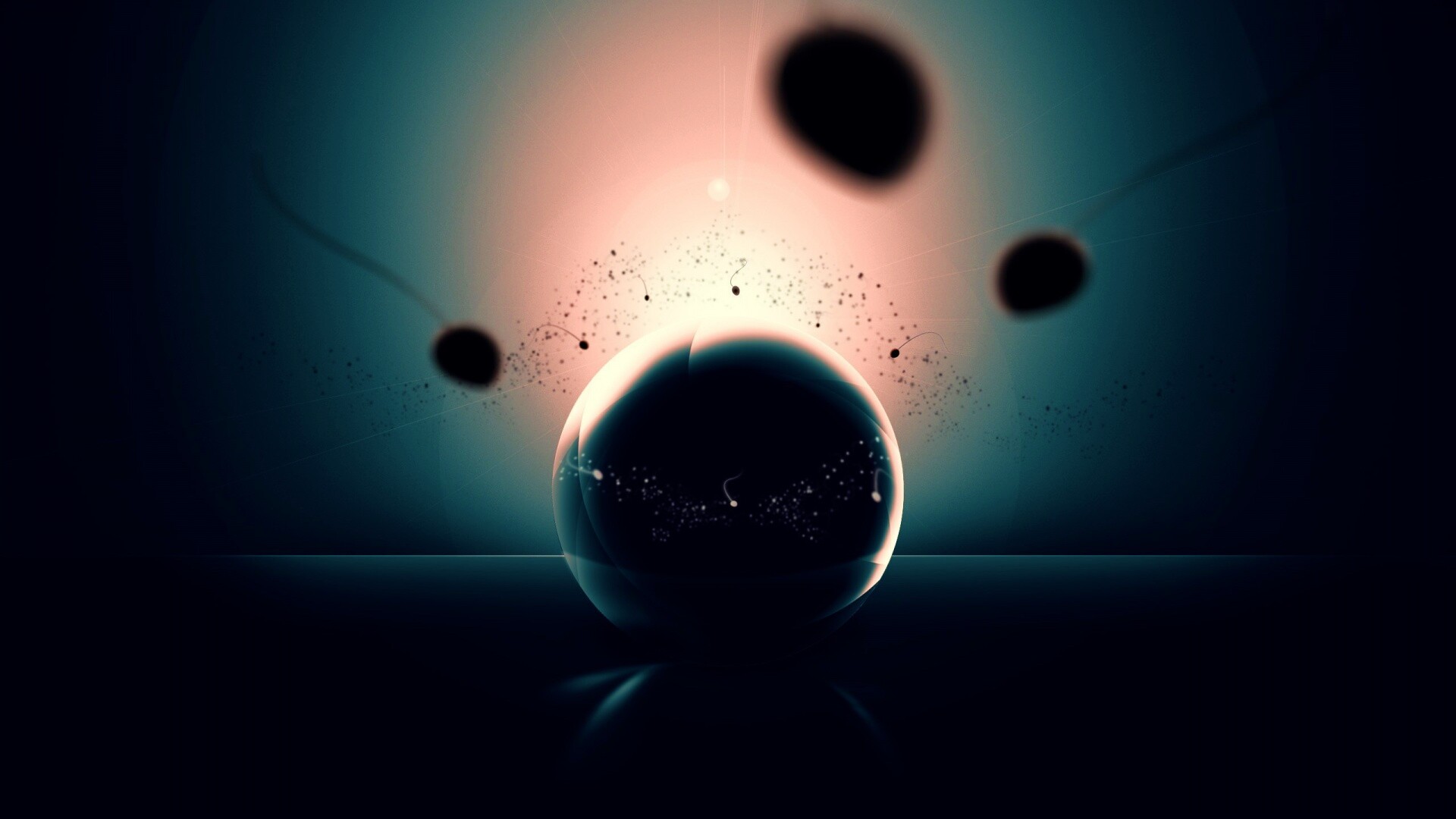 Оплодотворение обои