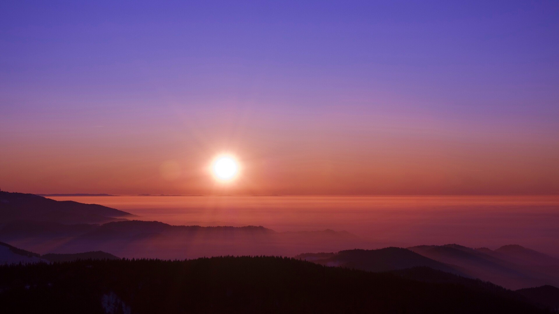 Восход солнца над лесом обои