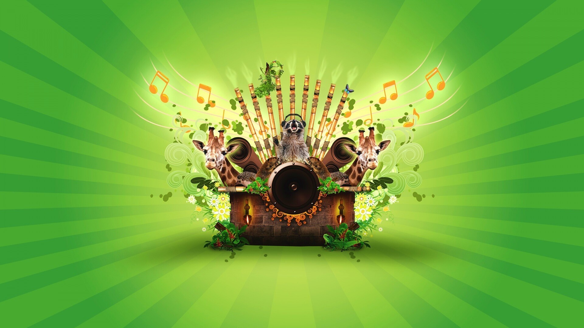 Музыка джунглей обои