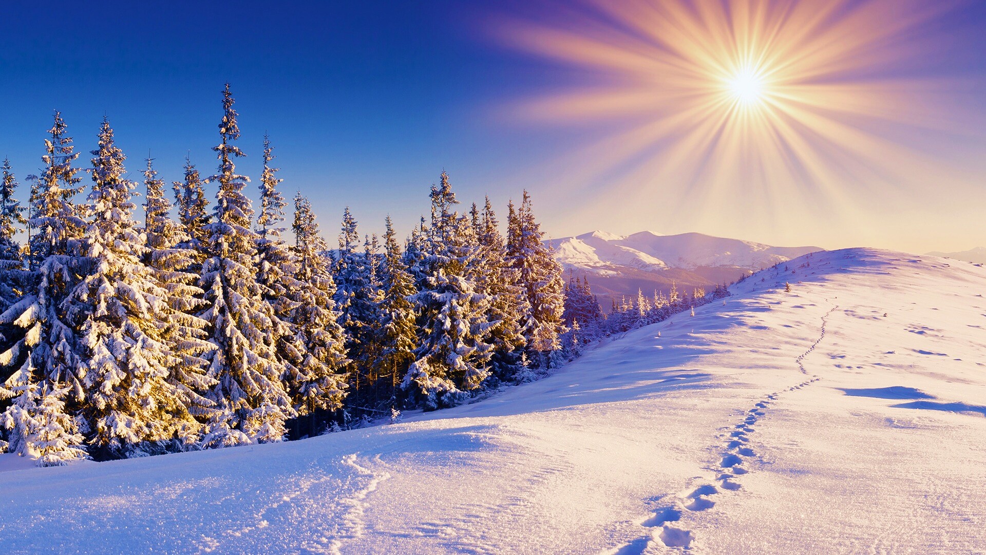 Холодные лучи зимнего солнца обои