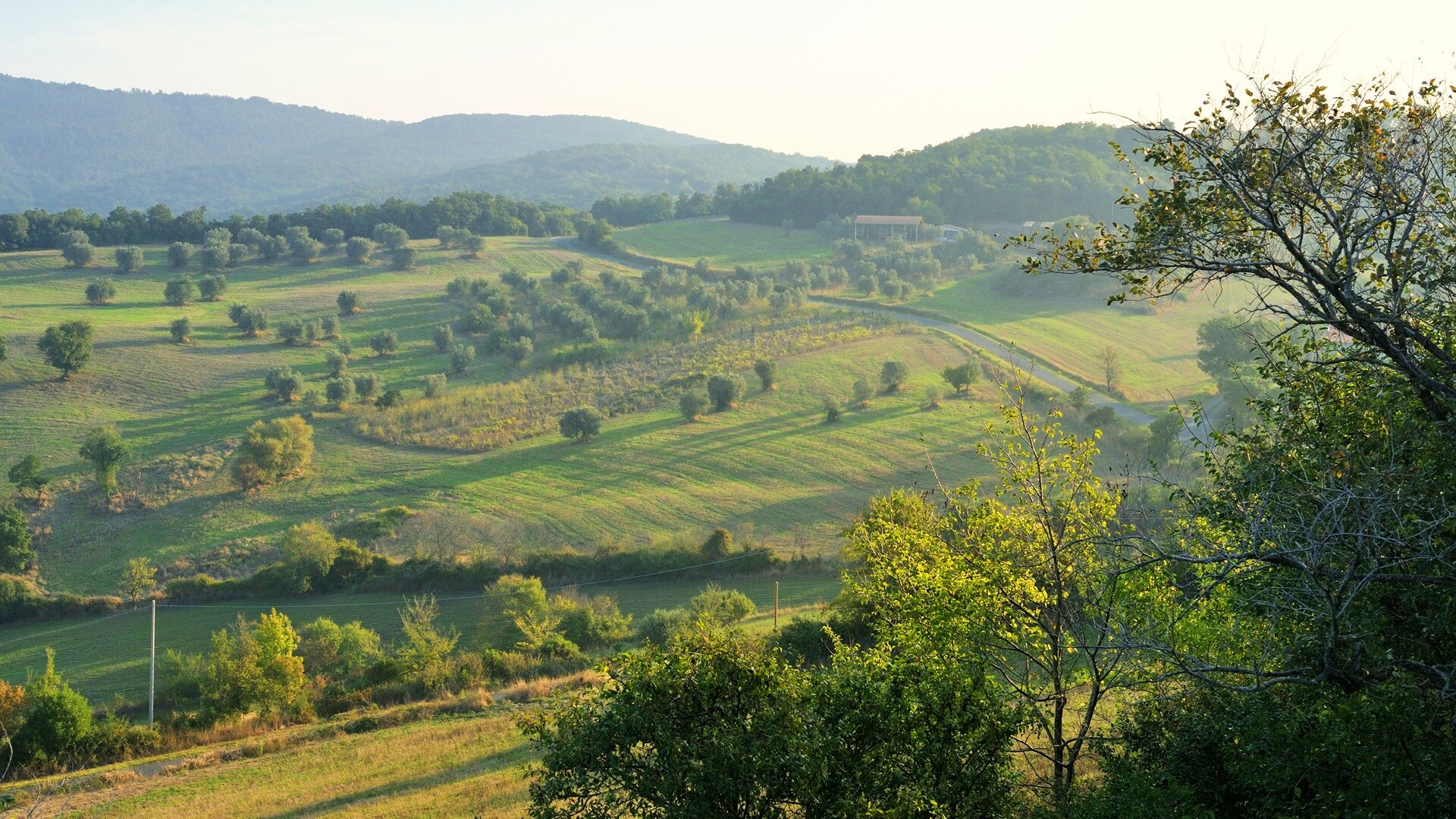 Ферма в долине обои