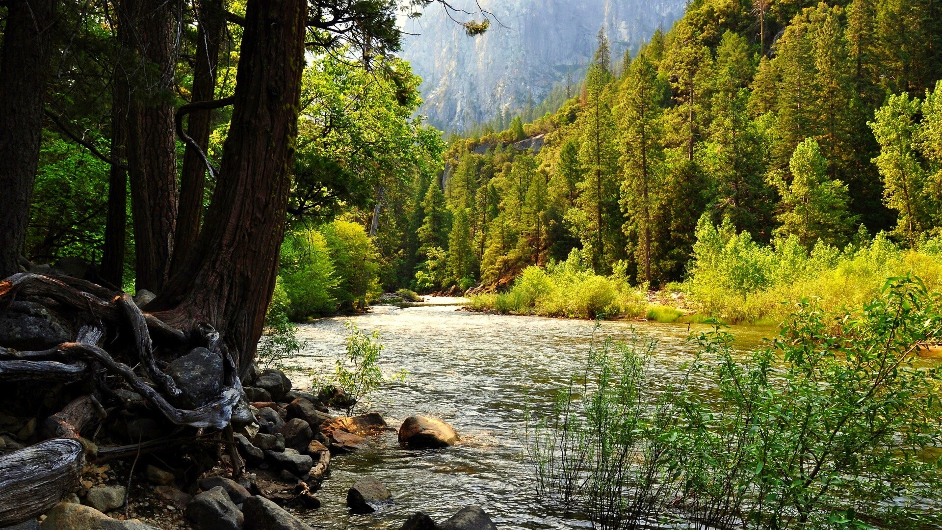 Национальный заповедник обои