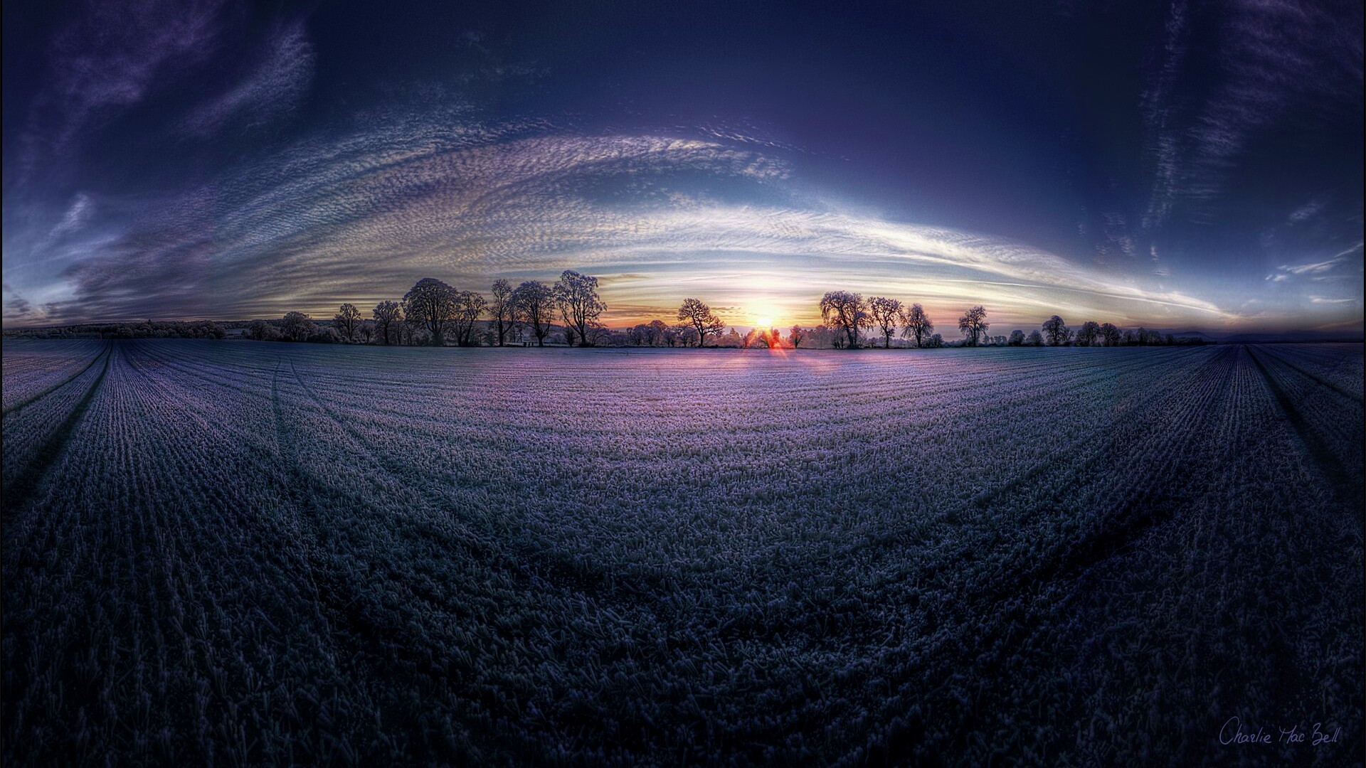 Поле широкоугольным объективом обои