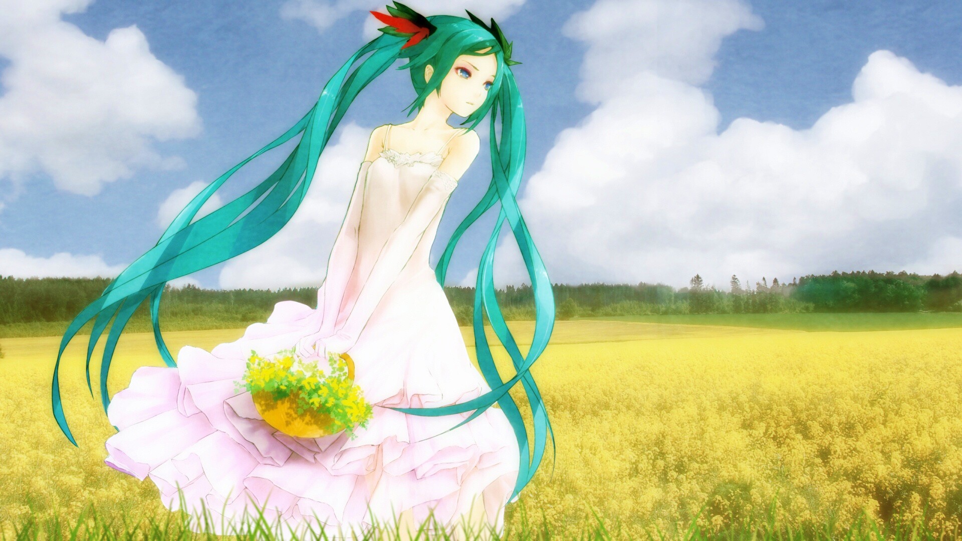 Хатсуне в поле обои