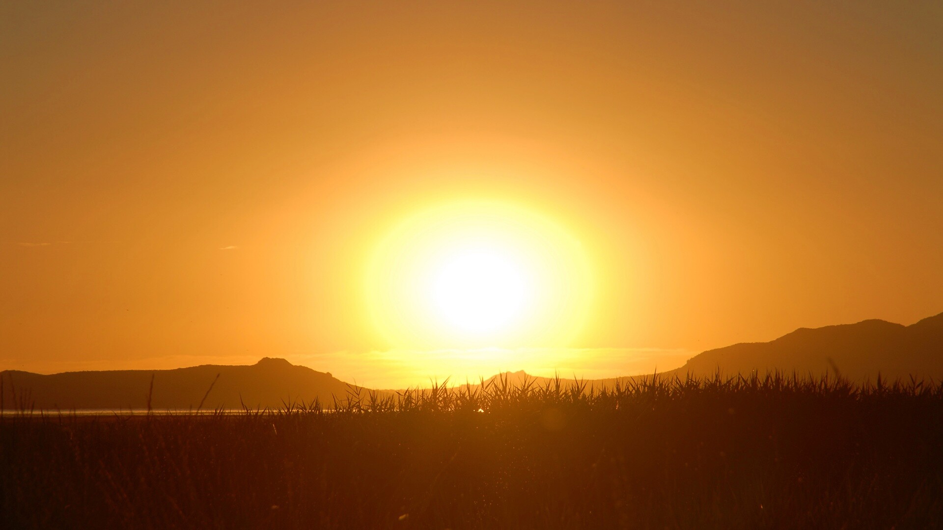 Сельский закат обои