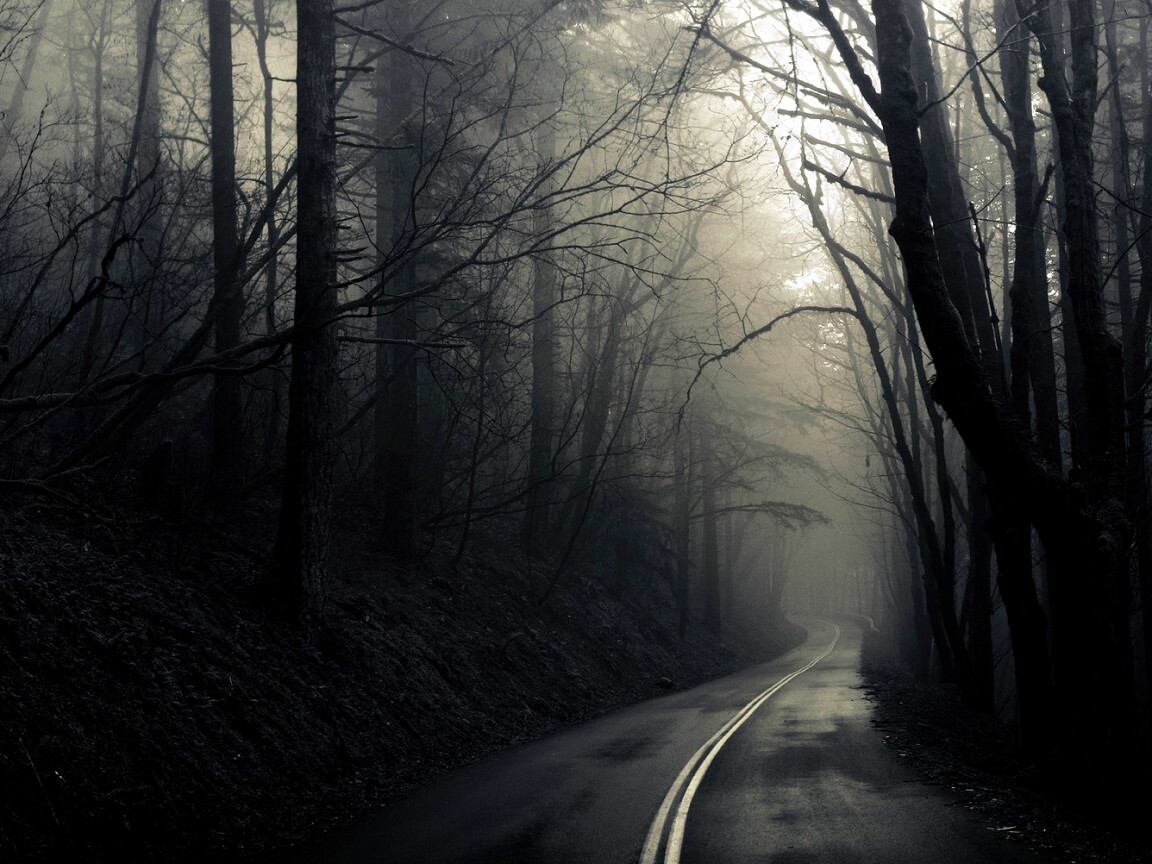 В туман обои