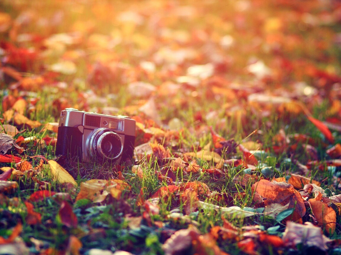 Старый фотоаппарат в траве обои