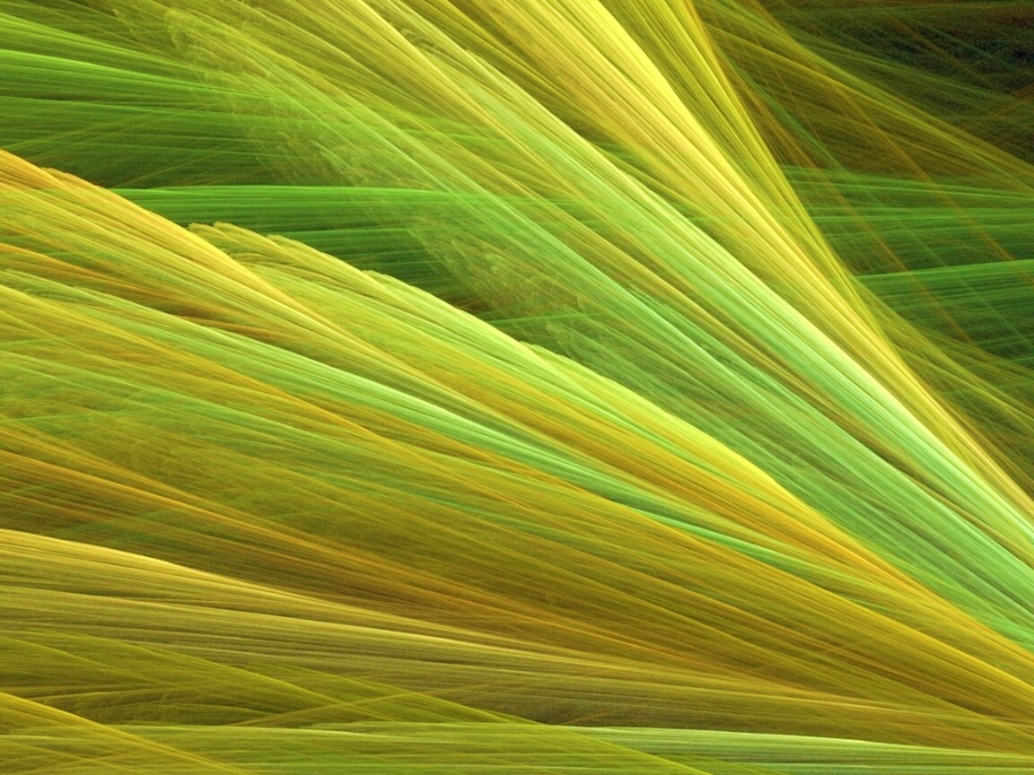 Прозрачные зеленоватые крылья обои