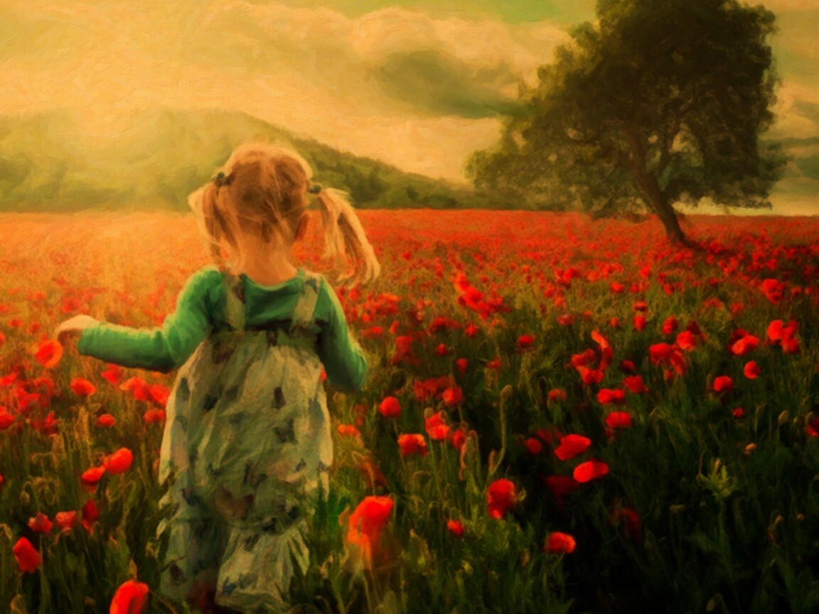 Девочка на маковом поле обои