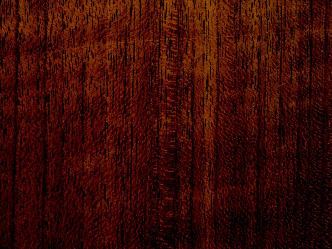 Темно-оранжевое дерево обои