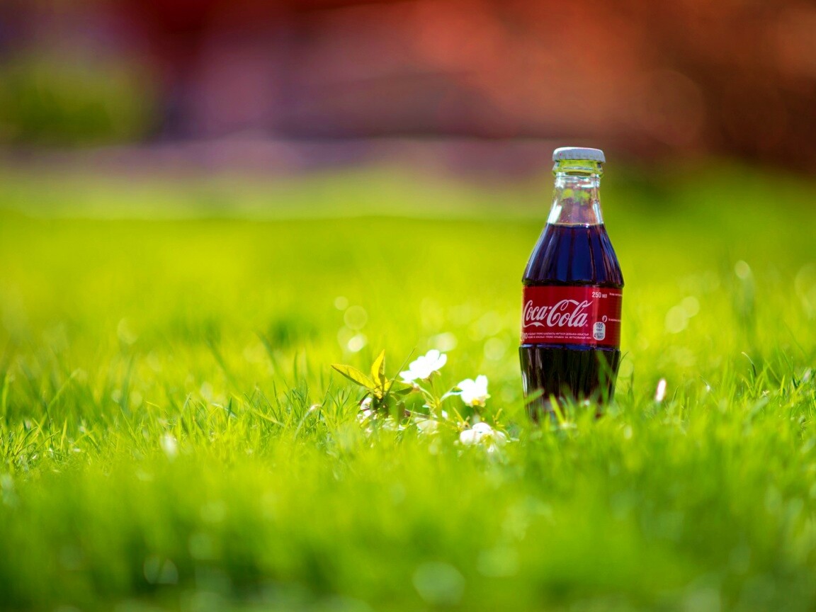 Кока-Кола на траве обои