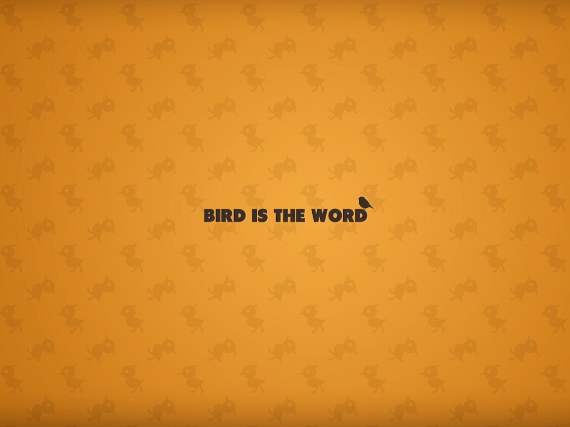 Bird is the word обои
