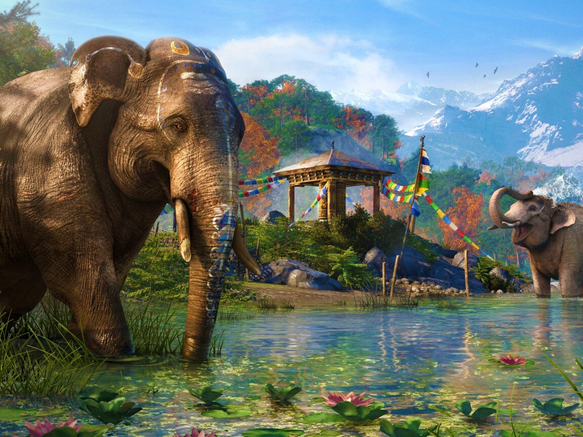 Слоники у воды обои