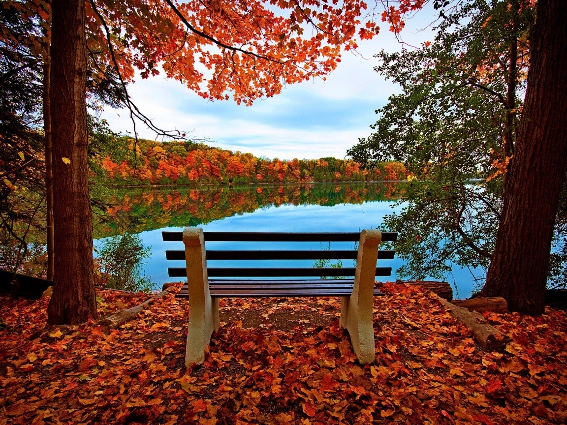 Вид на осеннее озеро обои