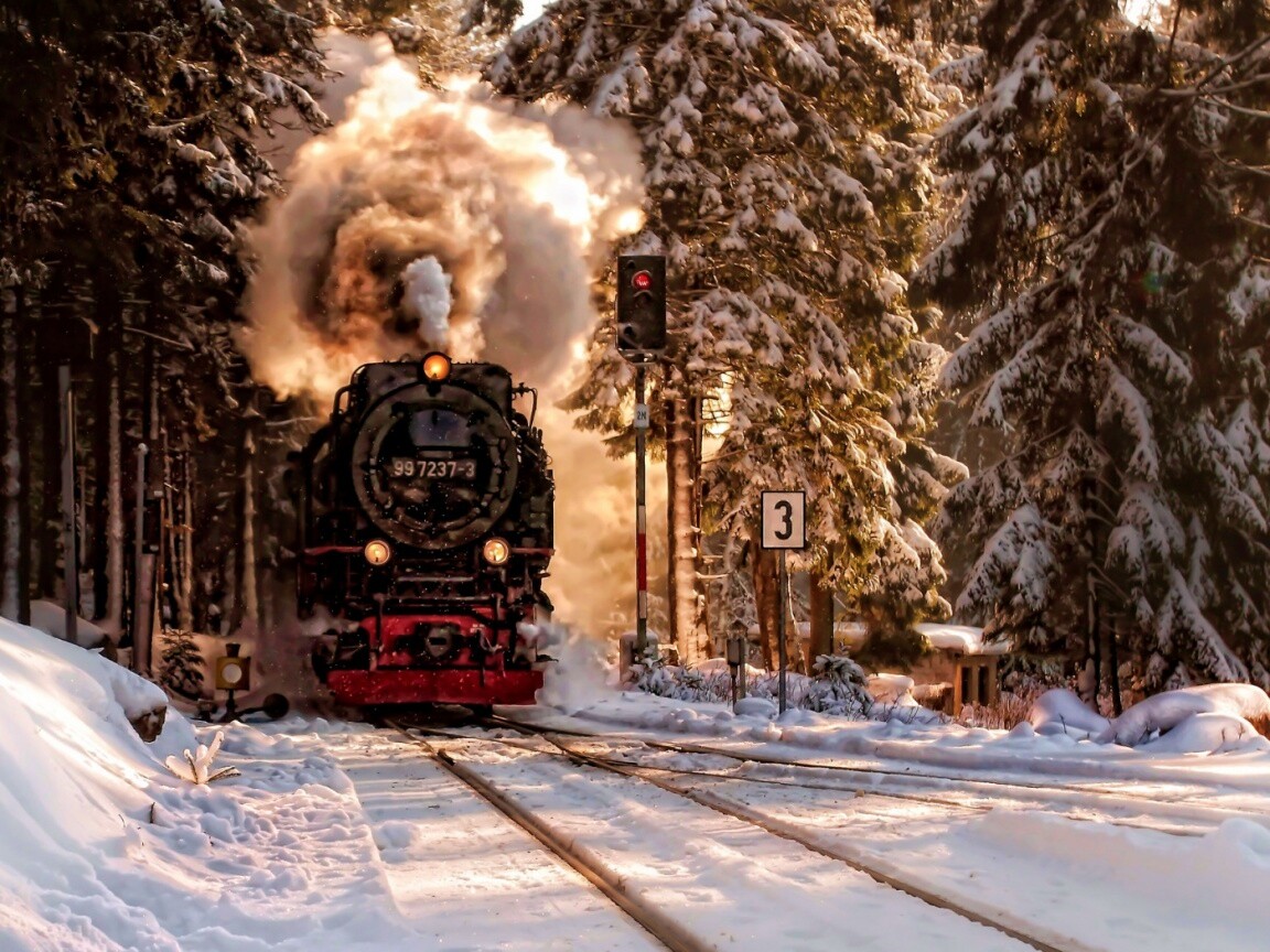 Паровоз в димнем лесу обои