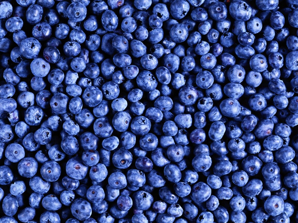 Черника обои