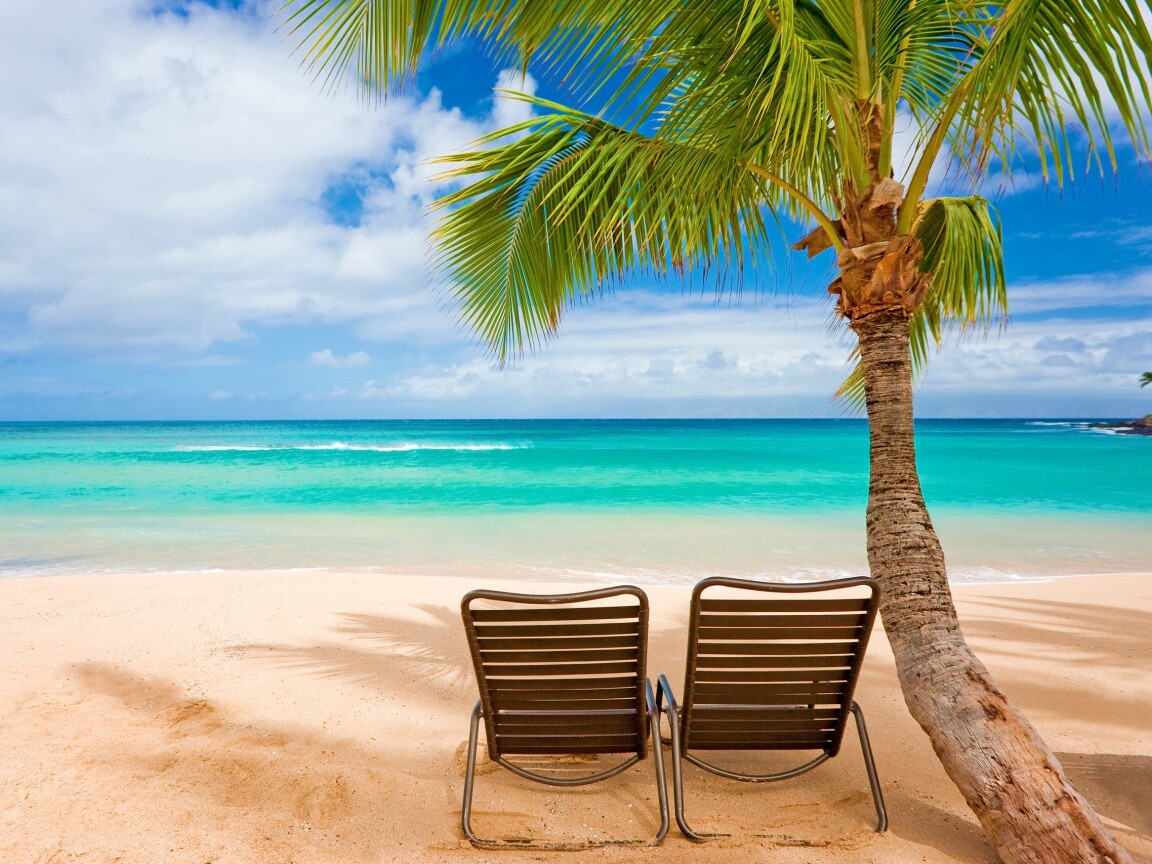 Шезлонги обои