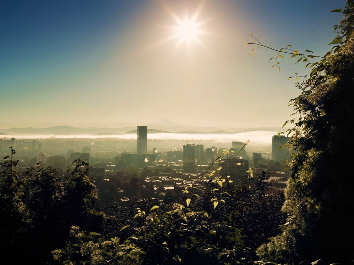 Утро в раю обои