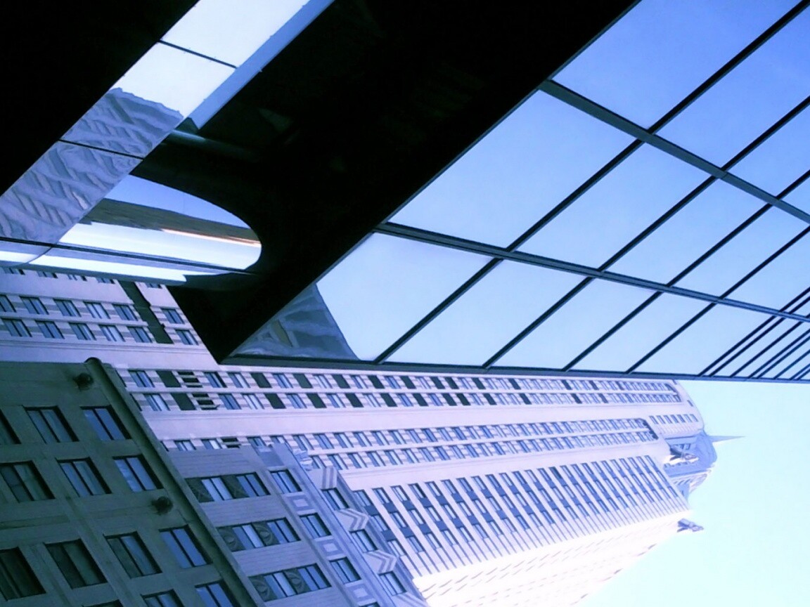 Взгляд вверх обои