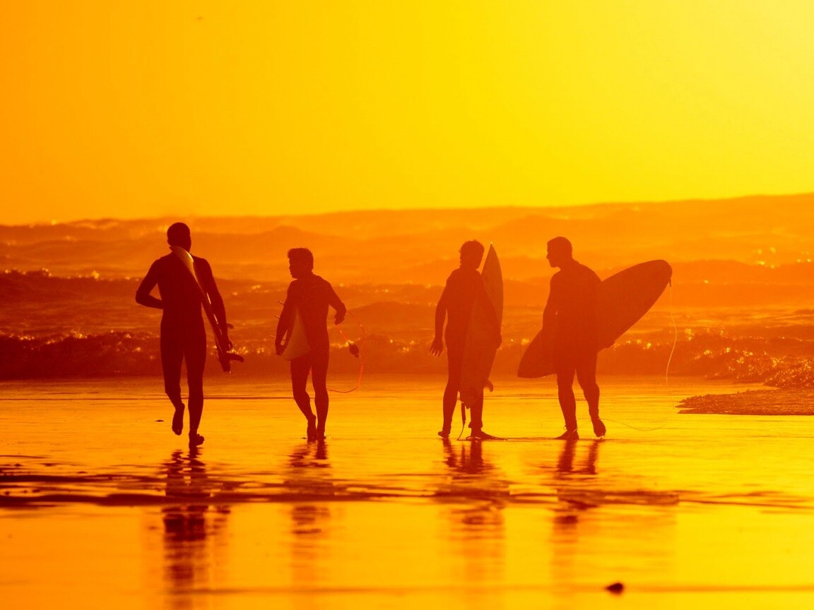 Серфингисты обои