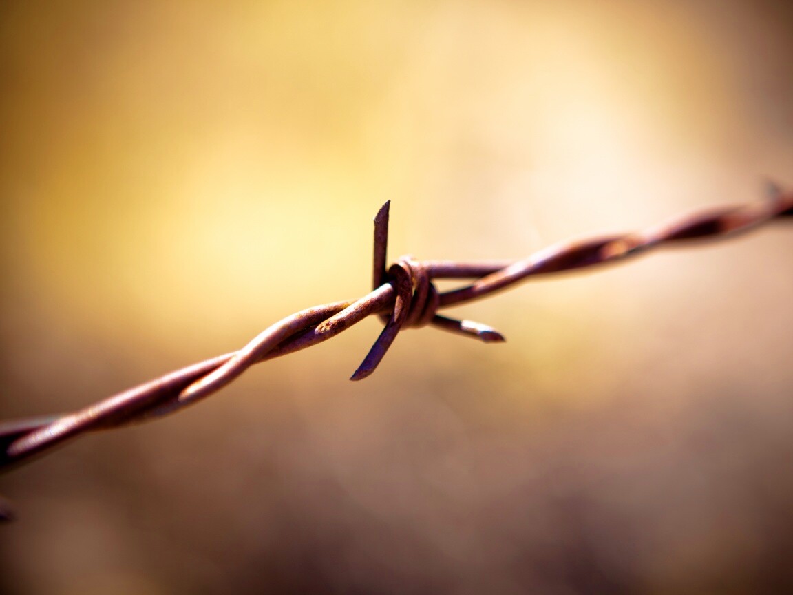 Фото колючей проволоки обои
