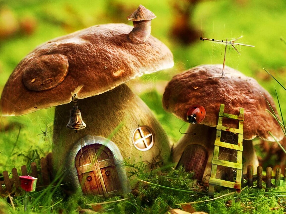 Грибы домики обои
