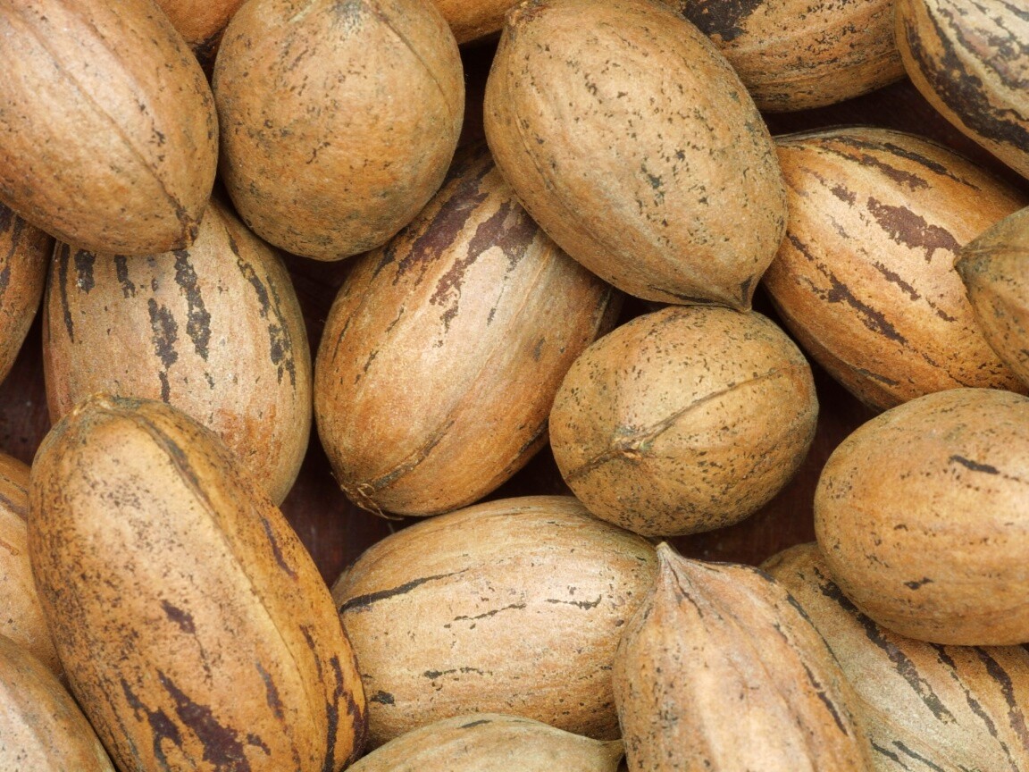 Грецкие орехи обои