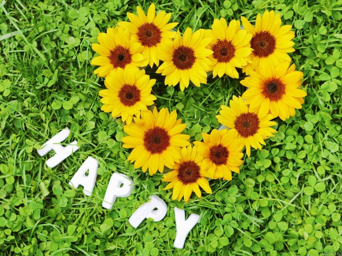 Радость обои