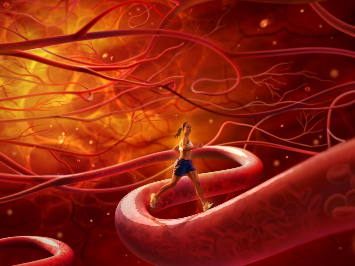 Бег крови обои