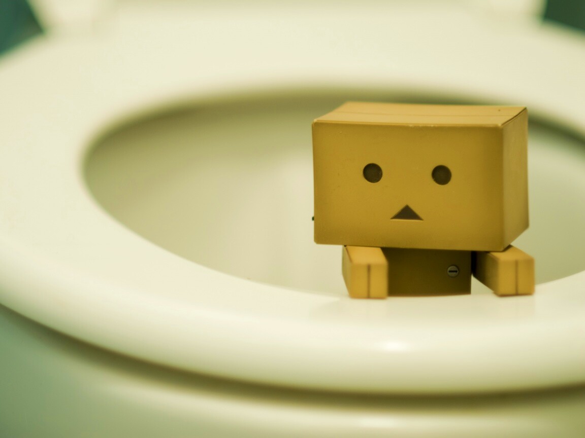Danbo в унитазе обои