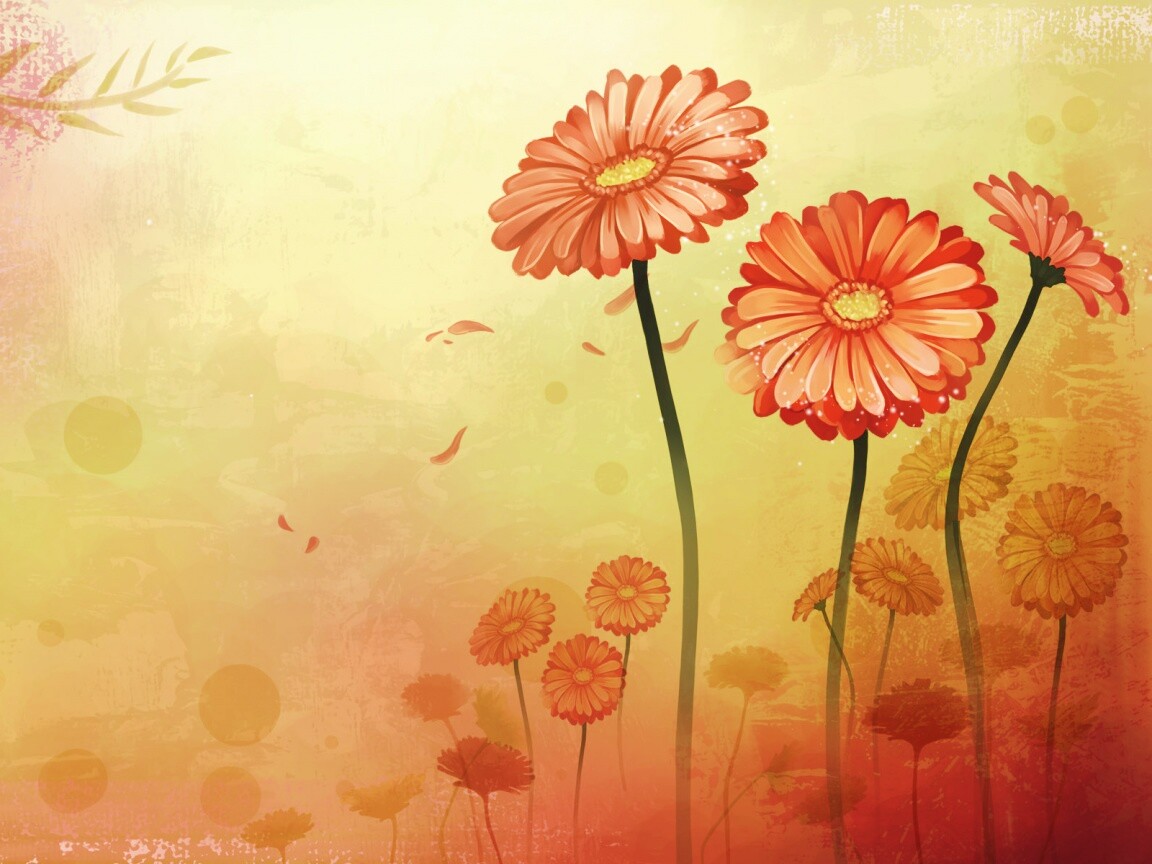 Векторные ромашки обои