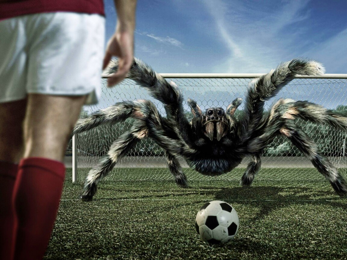 Вратарь обои