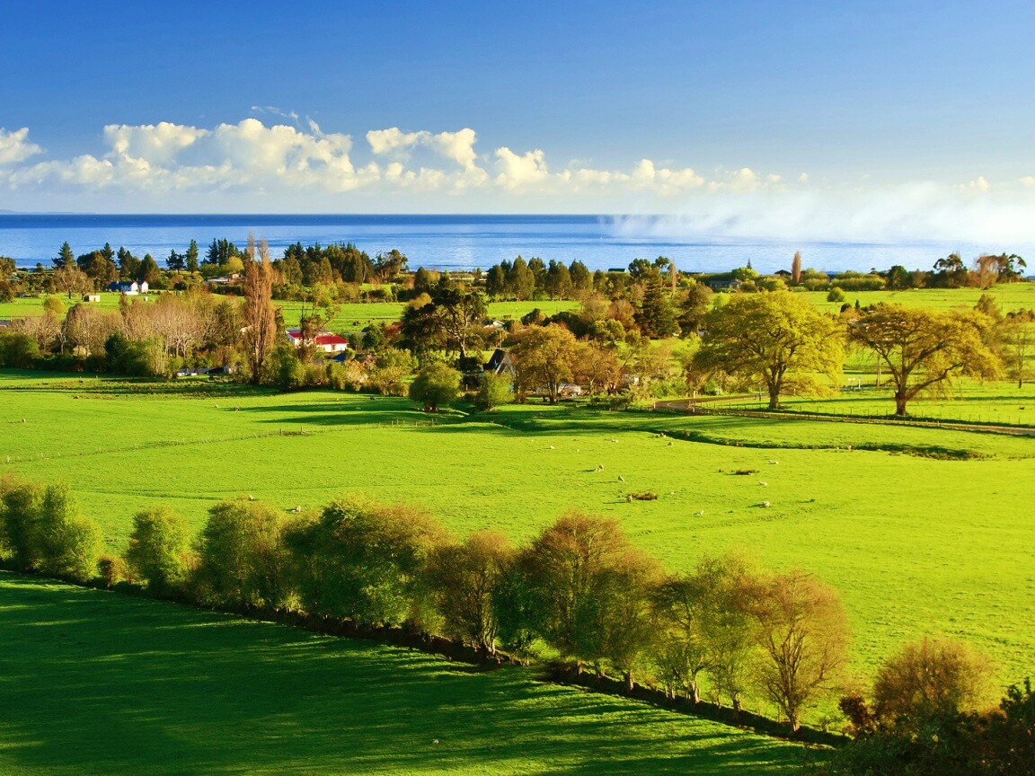 Сельская природа обои